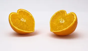 Con la naranja y el anís alejará de tu casa las molestosas moscas, cucarachas, mosquitos y cualquier otros insectos