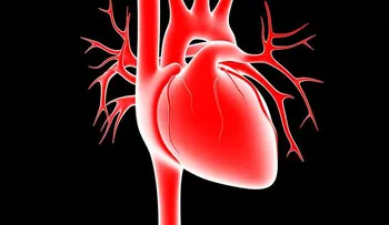 Incluso un pequeño exceso de peso puede aumentar la presión arterial.