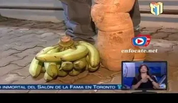  La super yuca de Azua, con 40 libras y cinco pies