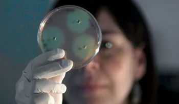  Identifican bacterias resistentes a los antibióticos 