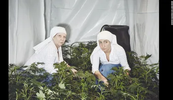 Conoce a las 'monjas' que cultivan marihuana medicinal