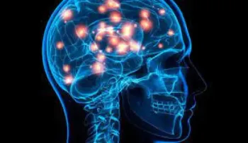 Investigan cómo el covid ingresa al cerebro y lo perjudica 