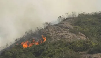 Partido MODA reclama al Gobierno informe de causas incendios forestales 