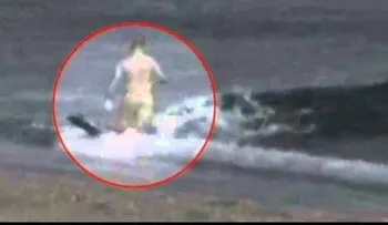 Video: Hombre es comido por un tibúron en vivo