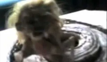 La Mujer Serpiente Historia