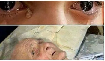 Su madre estaba muriendo en el asilo y su última petición fue ver a su hijo para decirle esto. No aguanté las lágrimas!