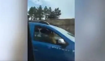 Investigan a una pareja española que mantuvo relaciones en una autopista 