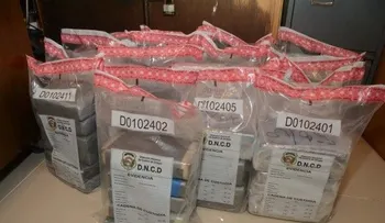 Decomisan 101 paquetes de drogas en carro estacionado en la marina de Cap Cana