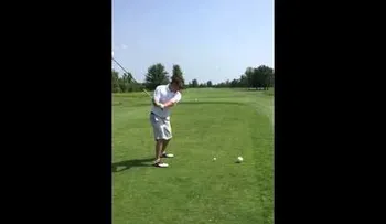 Video: Un golfista golpea tan mal que mata a una gaviota de un pelotazo