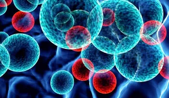 Identifican una nueva diana terapéutica para tratar la leucemia mieloide aguda