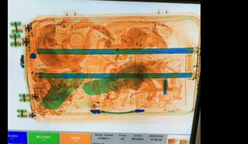 Detienen a tres españoles acusados de llevar más de 250 reptiles de México a Europa