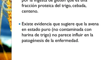 La ingesta de gluten lesiona el revestimiento del intestino delgado