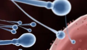 El trabajo físico y la hipertensión reducen fertilidad masculina