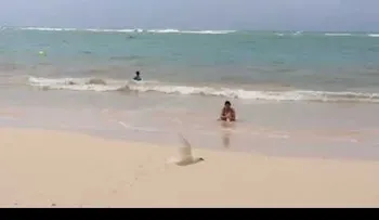 Turistas desafían alerta roja y se bañan en playa de La Altagracia