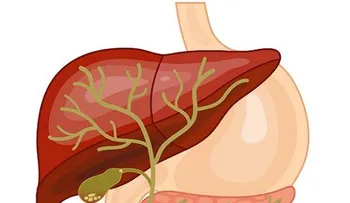 Dolor abdominal y los síntomas para identificarlo