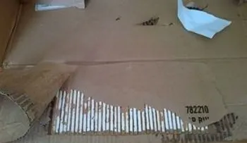 Encuentran dos mellizos recién nacidos muerto en caja de cartón