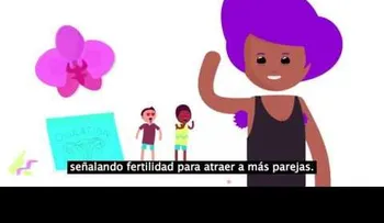 ¿Por qué Usted nunca debe afeitar sus vellos púbicos? Tiene una razón lógica (VIDEO)