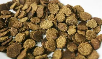 Estudiantes mexicanos elaboran cereal nutritivo con cáscara de sandía