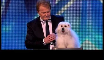 Una adorable perrita con un â??talentoâ? inusual (Video)