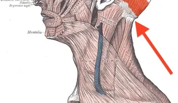 Un método chino mejora el bienestar de forma casi milagrosa