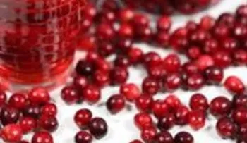 Cinco razones para incorporar cranberry a tu alimentación diaria