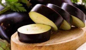Berenjena, ligera, curativaâ?¦ ¡Y muy adecuada para tu digestión!