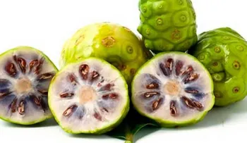 Beber zumo de noni puede curarte de muchas enfermedades 
