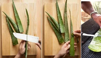 Aloe vera en la cara para una piel suave y brillante al instante