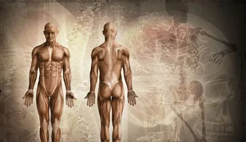La ciencia explica 6 increíbles funciones del cuerpo humano