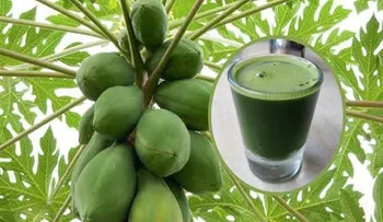 Jugo de hojas de papaya para desintoxicar y revertir el hígado graso. Así debes beberlo