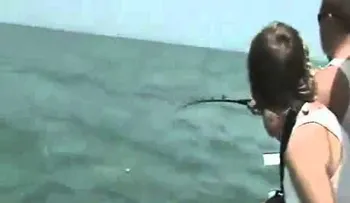 Impactante: Un pez gigante se come un tiburon