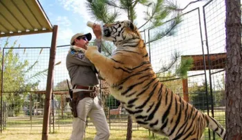 "Tiger King": el último fenómeno de Netflix que enloquece al público de EEUU