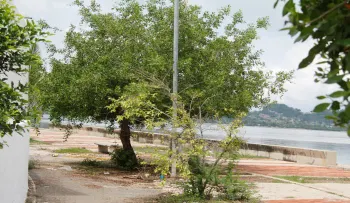 Linchan hombre por haber matado a otro con brujería 
