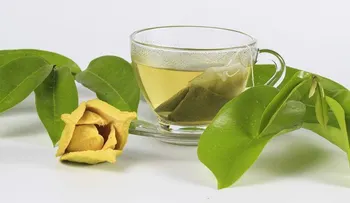 Infusión de hojas de guanábana para prevenir el cáncer