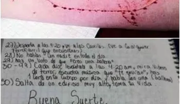 Menores vinculados al peligroso juego de la Ballena Azul en el país son compañeros de estudios