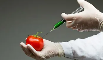Estos alimentos causan problemas digestivos