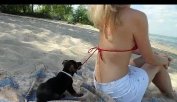VIDEOS virales 
