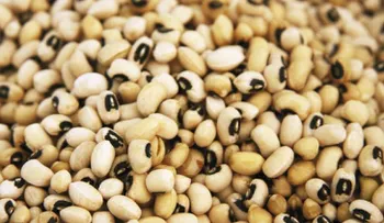 9 alimentos que luchan contra el cáncer
