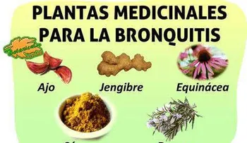 Un efectivo remedio natural para la bronquitis