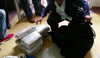 Ocupan 8 paquetes de marihuana en maletero de autobús venía de Loma de Cabrera