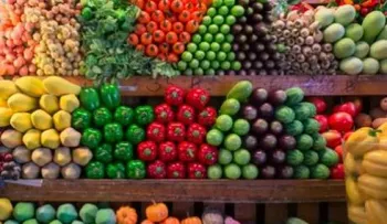 La correcta alimentación si padece de cáncer