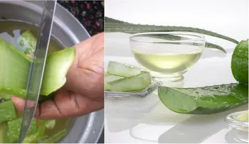 Esta es la planta que te ayudará a deshacerse de las hemorroides de una vez por todas!