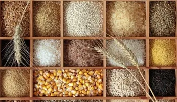  Cereales y semillas: alimentos novedosos y diferentes 