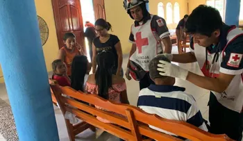 Enjambre de abejas "poco religioso" ataca a feligreses durante viacrucis en sur de México