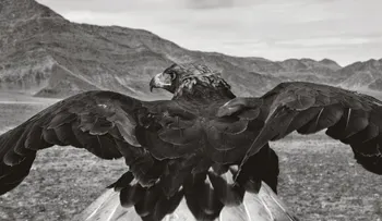 Capturando el arte de la cacería con águilas de Mongolia  