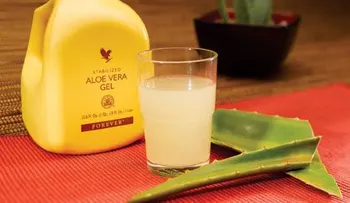 Una bebida de Aloe Vera sería cura definitiva para problemas de la vista!! 