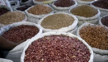 Proconsumidor informa mayoría de productos básicos aumentaron de precios