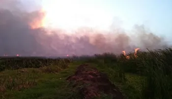 Incendio forestal consumió más de 200 tareas en la Laguna Saladillo