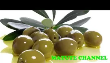 Estos son los los 7 secretos del Aceite de Oliva