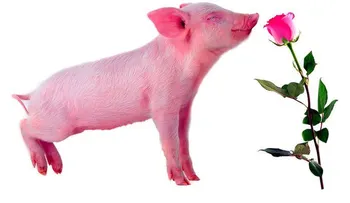 San Valentín y sus tradiciones curiosas en el mundo
